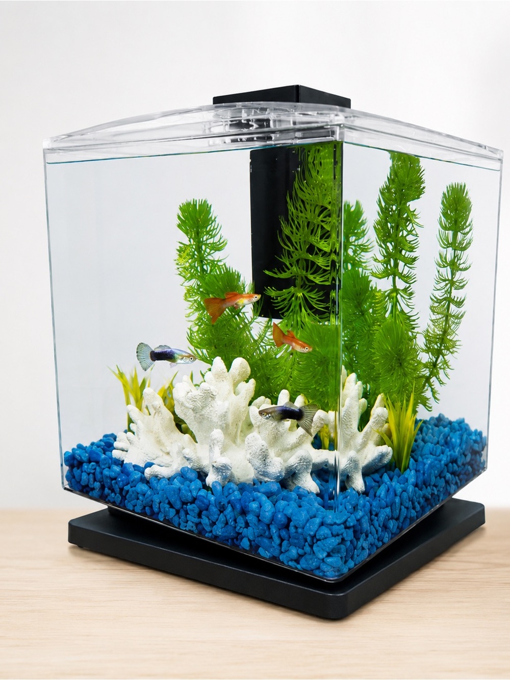 Tetra Cube Aquarium 1.5 Gallon LED Light Whisper Filter Kit New Open Box